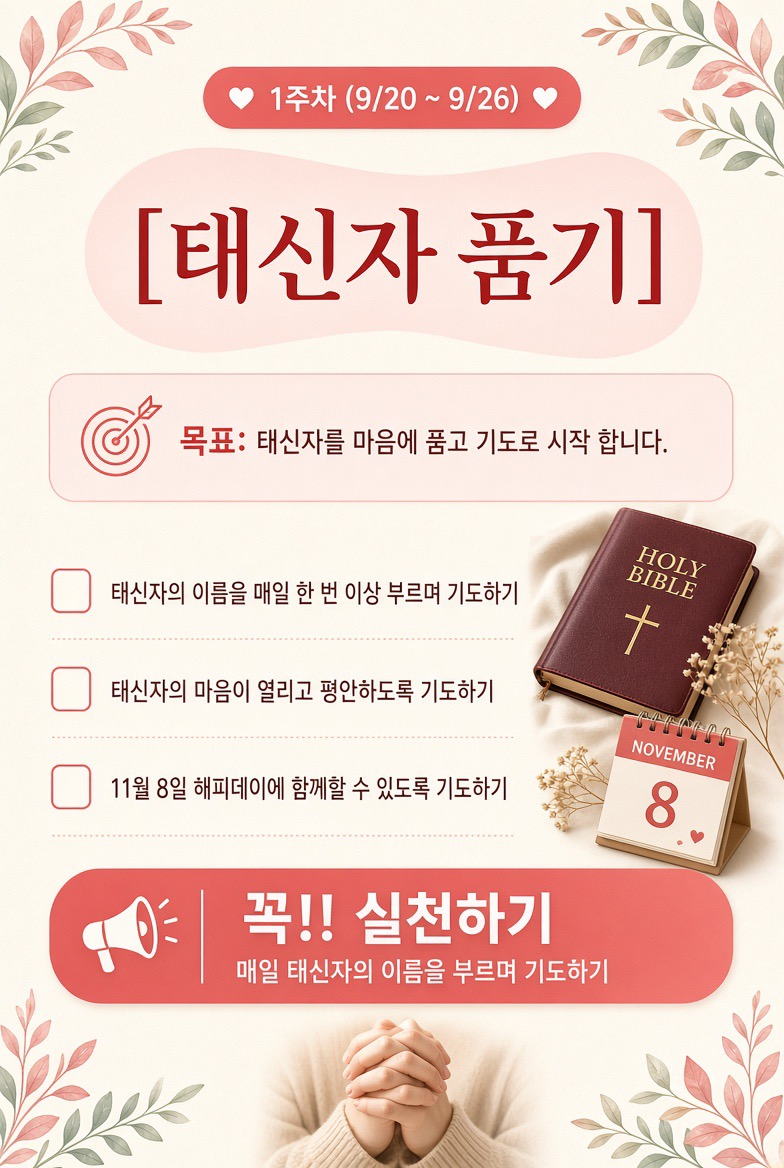 태신자 품기 안내